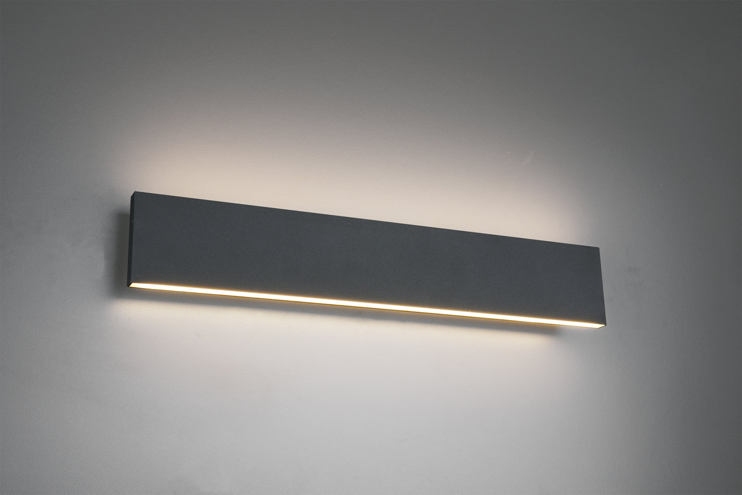CONCHA APPLIQUE LED