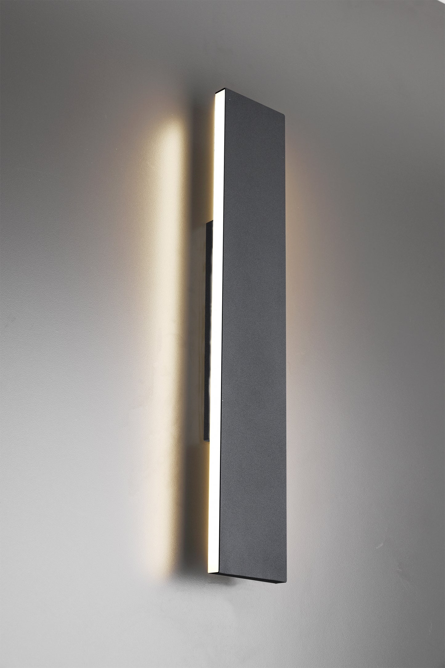CONCHA APPLIQUE LED